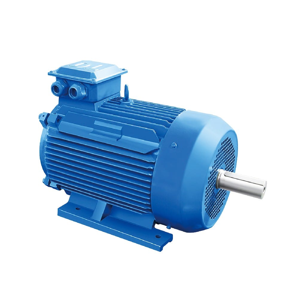 Special Motors DM / DMP / YPG / YGP / YZP