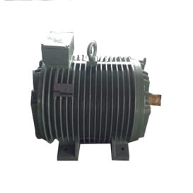 Roller Table Motors YGP YGP