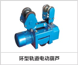 DS Monorail Electric Hoists DS