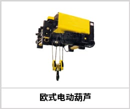 EU European-Style Electric Hoists EU