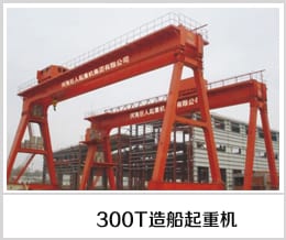 300 t Shipbuilding Gantry Cranes SB-300