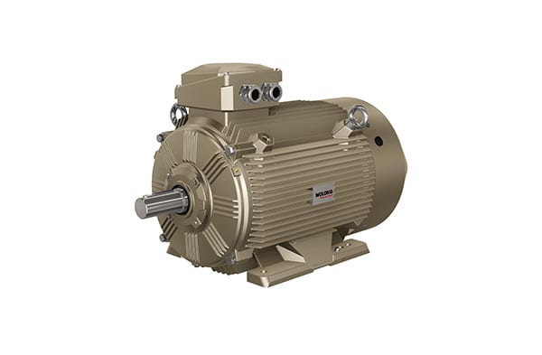 Standard Induction Motors WE