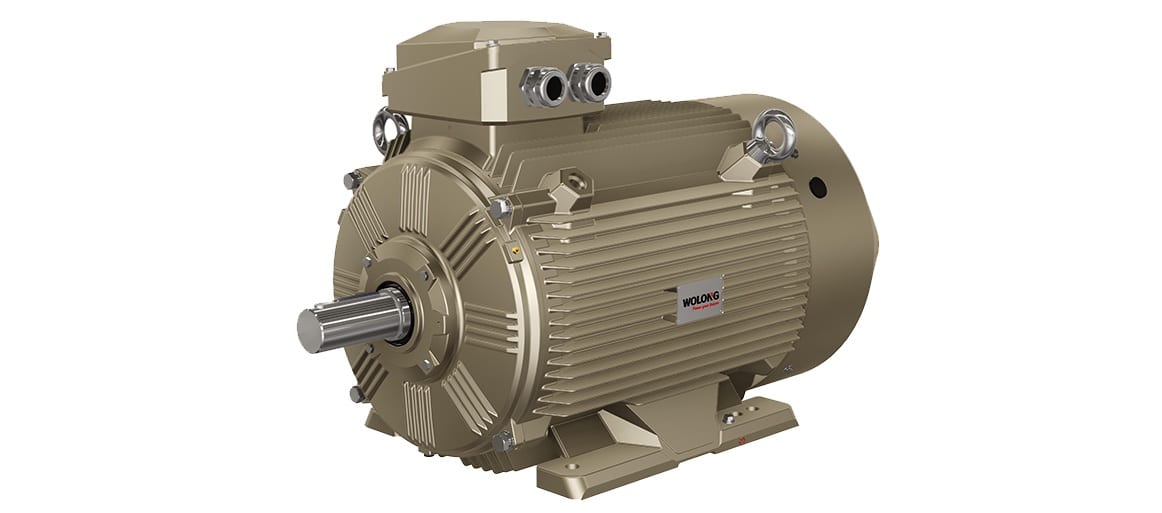 Permanent Magnet Synchronous Motors WEPM