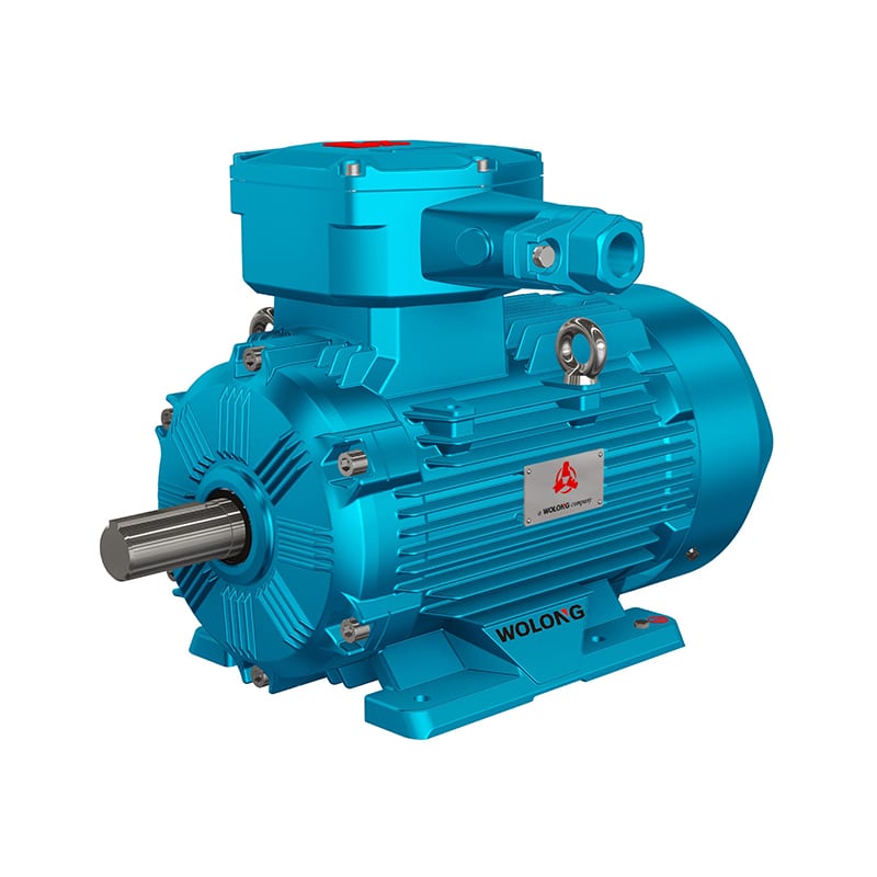 Marine Flameproof Motor YBX3-H