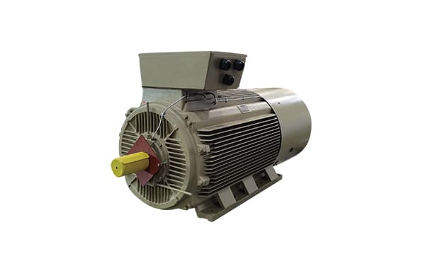 Low Voltage High Power Motors YE