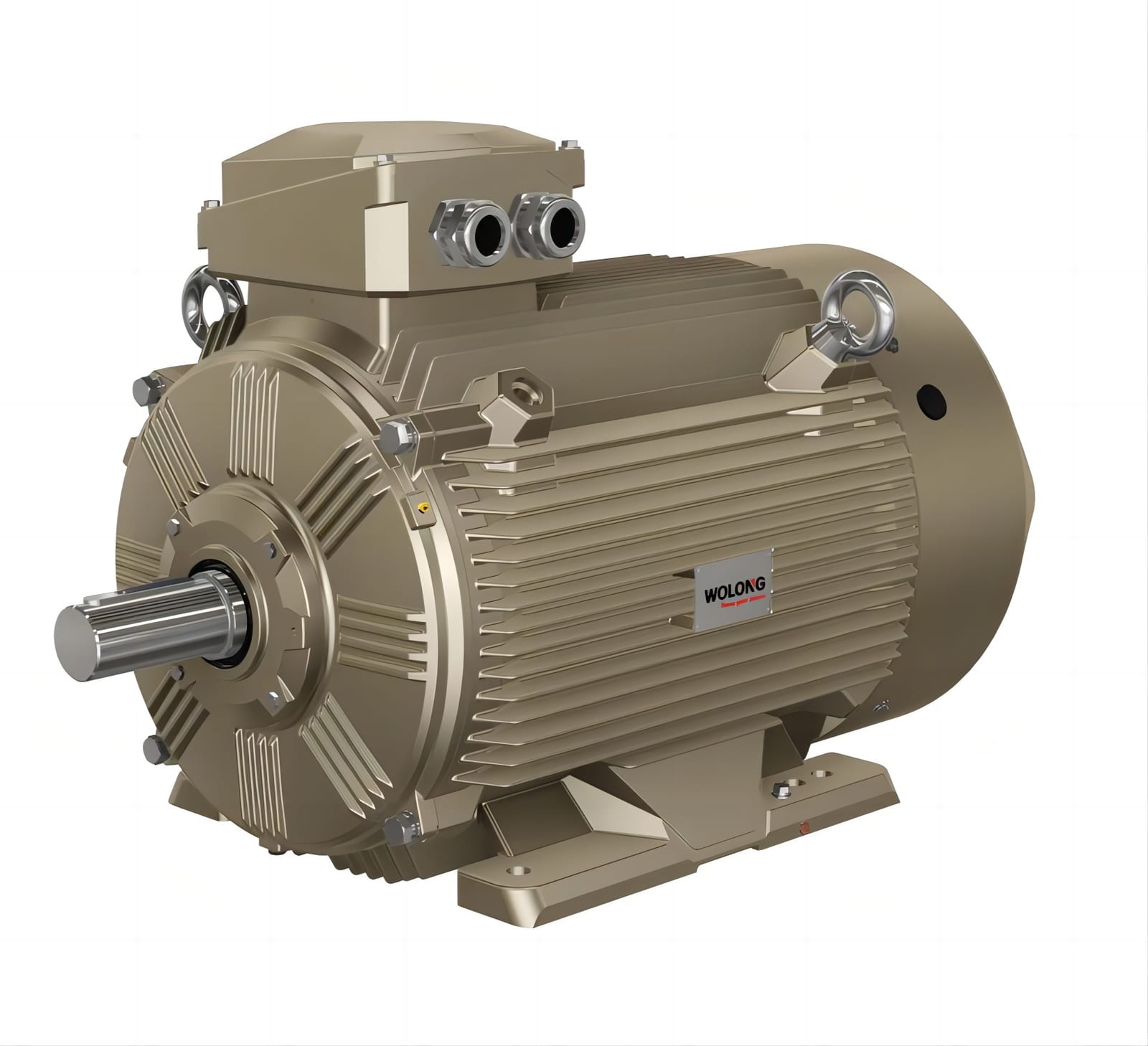 Marine Asynchronous Motor YQ-H