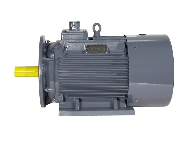Permanent Magnet Synchronous Motor TYCP